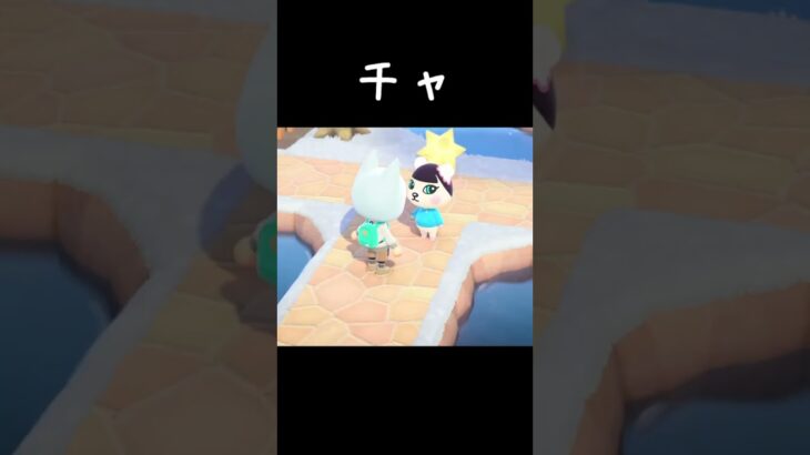 チャ【あつ森】20260223