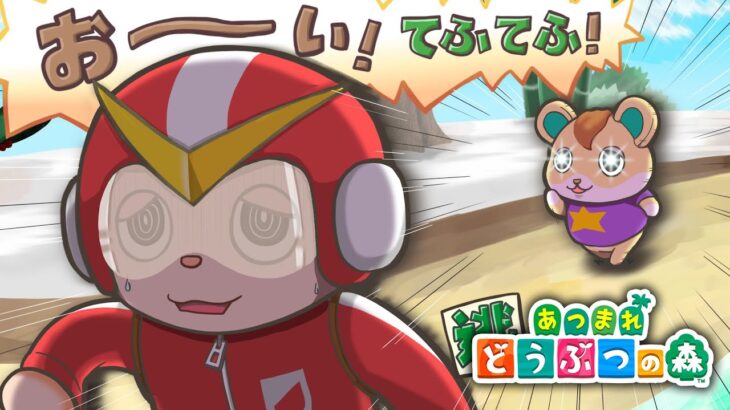 【あつ森】のんびり朝からやる初めてのどうぶつの森【2月16日】