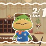 あつ森ライブ | 2/17 tue のんびりいつものたぬき島🐻