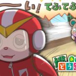 【あつ森】のんびり朝からやる初めてのどうぶつの森【2月18日】