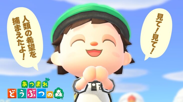 【あつ森】のんびり朝からやる初めてのどうぶつの森【2月24日】