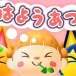 最後の雪の日⛄️朝活🐓おはようあつ森！2/24(火)