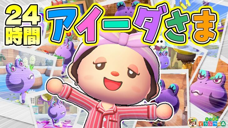 【あつ森】アプデ後のアイーダ様に24時間密着！【あつまれどうぶつの森】
