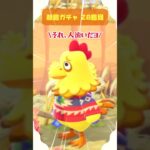 【あつ森】🏝️離島ガチャ28島目～完全に人違いでした😭～