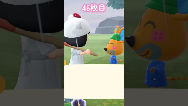 【あつ森】第2回ニャン島離島ガチャpart4🐱