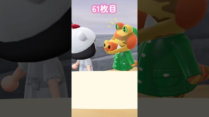 【あつ森】第2回ニャン島離島ガチャpart5🐱