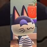 あつ森｜島だより｜住民との暮らし#3