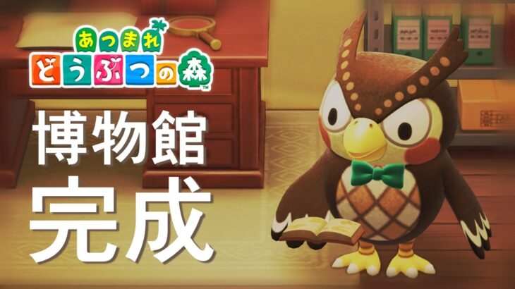 【あつ森】＃3  海の幸リベンジ！博物館に大量寄贈なるか！？【おふらんch.】