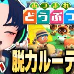 【あつ森】＃31 リハビリがてら午後のまったりルーティン【参加型なし】