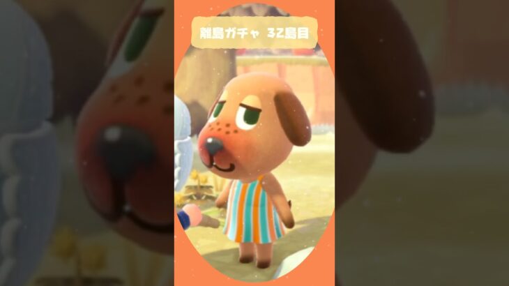 【あつ森】🏝️離島ガチャ32島目～ベーグルカワヨ🥯🐶🤎～