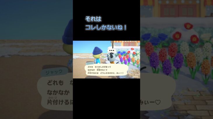 あつ森　#339　まったりしていきませんか？🙀👓