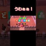 あつ森　#340　まったりしていきませんか？🥰✨️