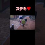 あつ森　#342　まったりしていきませんか？🐯😺✨️