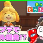 【あつ森】#36　アプデが来たので一年ぶりにあつ森！【プレミア公開】