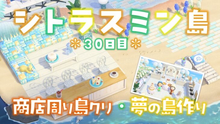 【あつ森】後半参加型夢の島！たぬき商店周りを島クリ！シトラスミン島＊39日目＊【生放送】