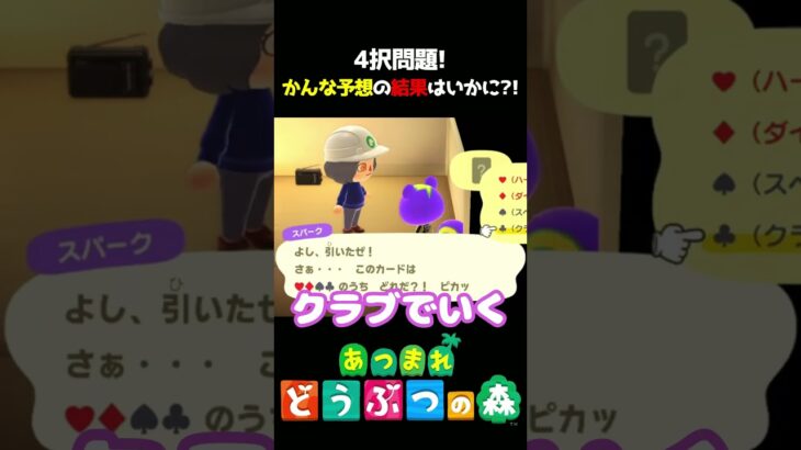 【あつ森】4択クイズ正解なるか?!