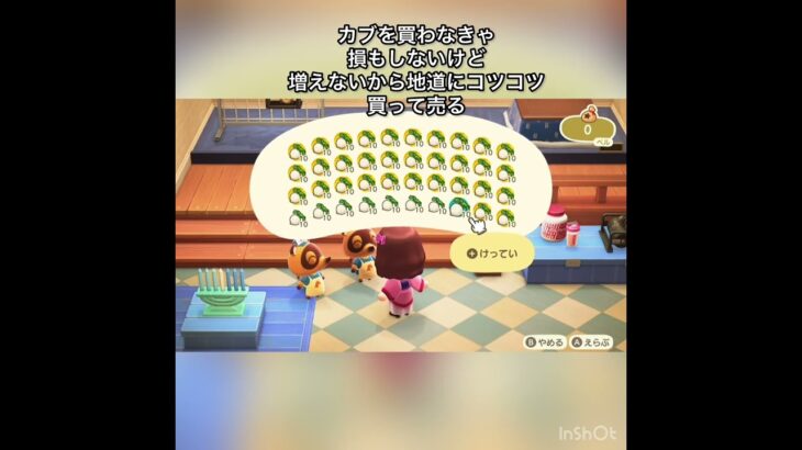 【あつ森】4000カブを売ったら460000ベル　結果　ベル稼ぐ　#vlog #あつ森 #あつまれどうぶつの森 #こはくちゃんねる2424