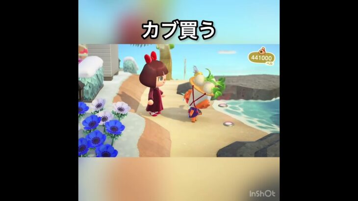 【あつ森】4000カブを売ったら540000ベル　結果　ベル稼ぐ　#vlog #あつ森 #あつまれどうぶつの森 #こはくちゃんねる2424