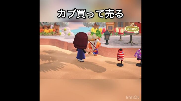 【あつ森】4000カブを売ったら552000ベル　結果　ベル稼ぐ　#vlog #あつ森 #あつまれどうぶつの森 #こはくちゃんねる2424