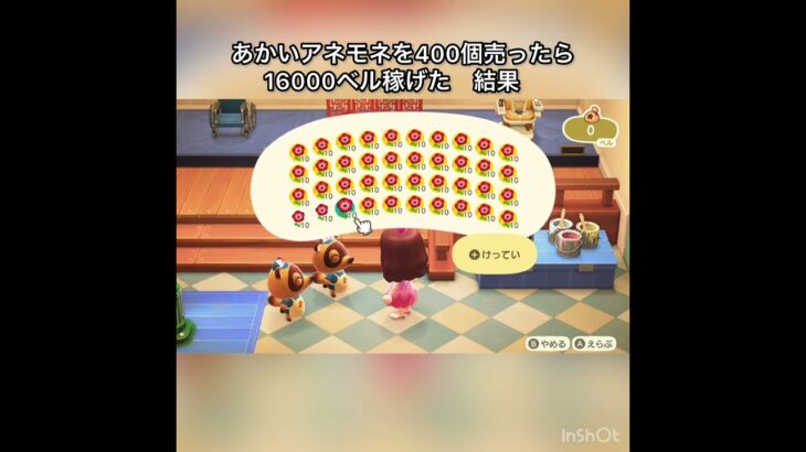 【あつ森】あかいアネモネを400個売ったら16000ベル稼げた　結果　ベル稼ぐ　#vlog #あつ森 #あつまれどうぶつの森 #こはくちゃんねる2424