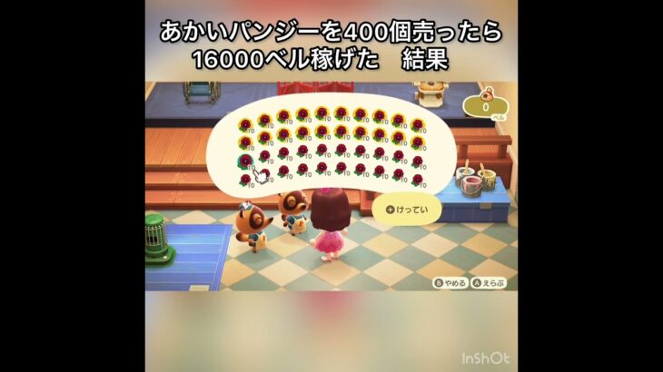 【あつ森】赤いパンジーを400個売ったら16000ベル稼げた　結果　ベル稼ぐ　#vlog #あつ森 #あつまれどうぶつの森 #こはくちゃんねる2424