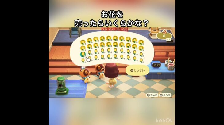 【あつ森】きいろいチューリップを400個売ったら16000ベル稼げた　結果　ベル稼ぐ　#vlog #あつ森 #あつまれどうぶつの森 #こはくちゃんねる2424