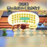 【あつ森】黄色のコスモスを400個売ったら16000ベル稼げた　結果　ベル稼ぐ　#vlog #あつ森 #あつまれどうぶつの森 #こはくちゃんねる2424