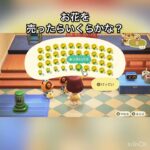 【あつ森】きいろいバラを400個売ったら16000ベル稼げた　結果　ベル稼ぐ　#vlog #あつ森 #あつまれどうぶつの森 #こはくちゃんねる2424