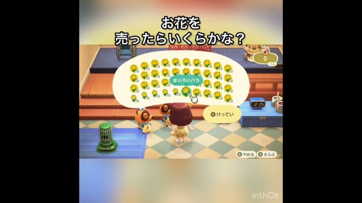 【あつ森】きいろいバラを400個売ったら16000ベル稼げた　結果　ベル稼ぐ　#vlog #あつ森 #あつまれどうぶつの森 #こはくちゃんねる2424