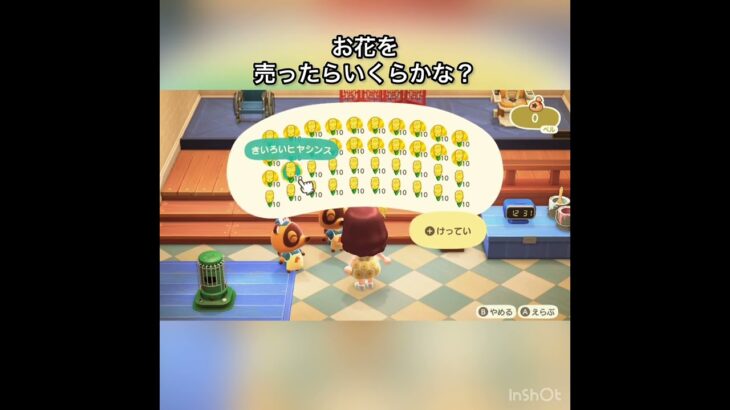 【あつ森】きいろいヒヤシンスを400個売ったら16000ベル稼げた　結果　ベル稼ぐ　#vlog #あつ森 #あつまれどうぶつの森 #こはくちゃんねる2424