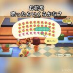 【あつ森】ピンクコスモスを400個売ったら24000ベル稼げた　結果　ベル稼ぐ　#vlog #あつ森 #あつまれどうぶつの森 #こはくちゃんねる2424