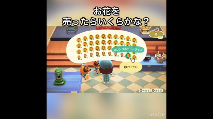 【あつ森】オレンジチューリップを400個売ったら32000ベル稼げた　結果　ベル稼ぐ　#vlog #あつ森 #あつまれどうぶつの森 #こはくちゃんねる2424