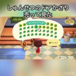 【あつ森】春節のドアかざりを40個売ったら20000ベル稼げた　結果　ベル稼ぐ　#vlog #あつ森 #あつまれどうぶつの森 #こはくちゃんねる2424