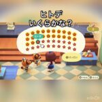 【あつ森】ヒトデを40個売ったら20000ベル稼げた　結果　ベル稼ぐ　#vlog #あつ森 #あつまれどうぶつの森 #こはくちゃんねる2424