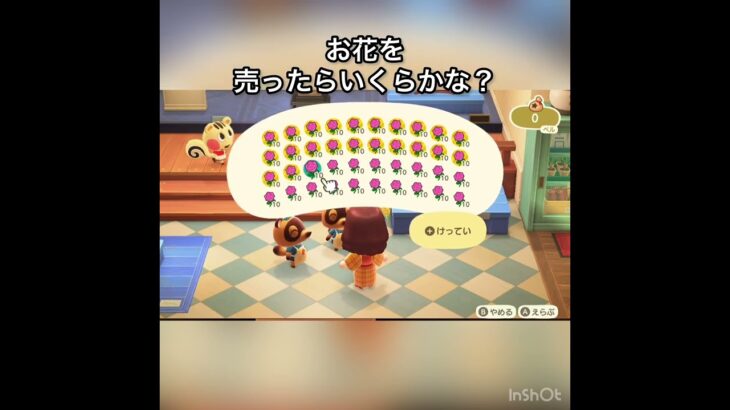 【あつ森】ピンクバラを40個売ったら32000ベル稼げた　結果　ベル稼ぐ　#vlog #あつ森 #あつまれどうぶつの森 #こはくちゃんねる2424