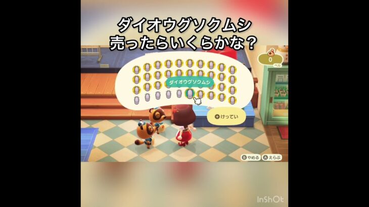 【あつ森】ダイオウグゾクムシを40個売ったら480000ベル稼げた　結果　ベル稼ぐ　#vlog #あつ森 #あつまれどうぶつの森 #こはくちゃんねる2424