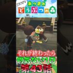 【あつ森】　出遅れ借金あつ森生活第43話『何気ない1日』