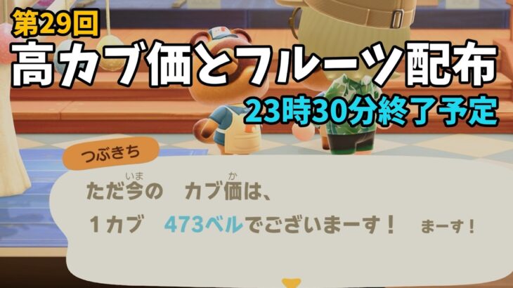【あつ森】カブ価473ベルと全種フルーツを配布！まったりカブ活初心者歓迎