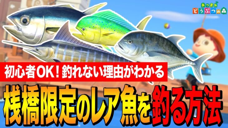 【あつ森】桟橋レア魚4種が釣れない理由はこれ！マグロ／カジキ／シイラ／ロウニンアジを確実に釣る方法｜ver3.0対応・完全攻略【あつまれどうぶつの森】