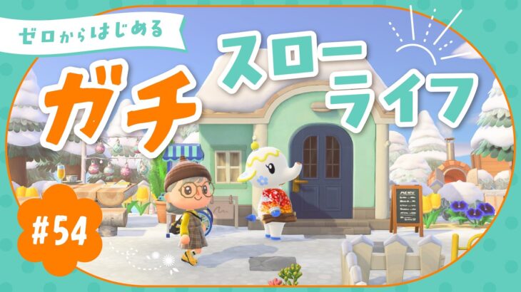 【あつ森】博物館周りを島クリ🦉｜よりどり島#54