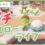 【あつ森】カーニバルを楽しむ！！🦚🪇｜よりどり島#56