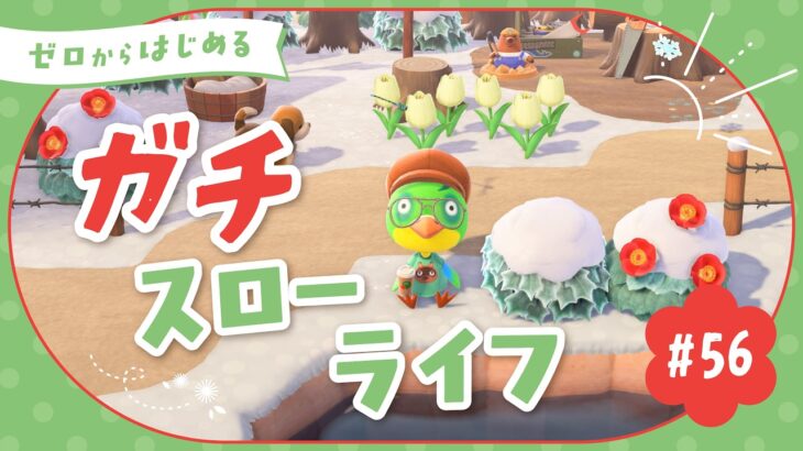 【あつ森】カーニバルを楽しむ！！🦚🪇｜よりどり島#56