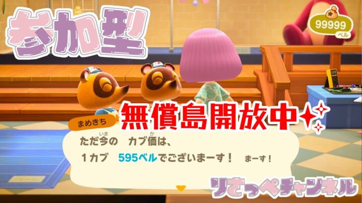 【あつ森島開放/参加型】カブ価595ベル！無償開放するよ！カブ活しよ！
