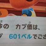 【あつ森】カブ601！チャンネル登録、高評価で参加可能！