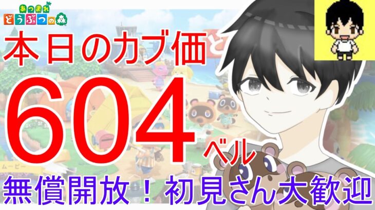 【あつ森】初見さん大歓迎！カブ価604ベルを無償開放。カブ活しましょう！