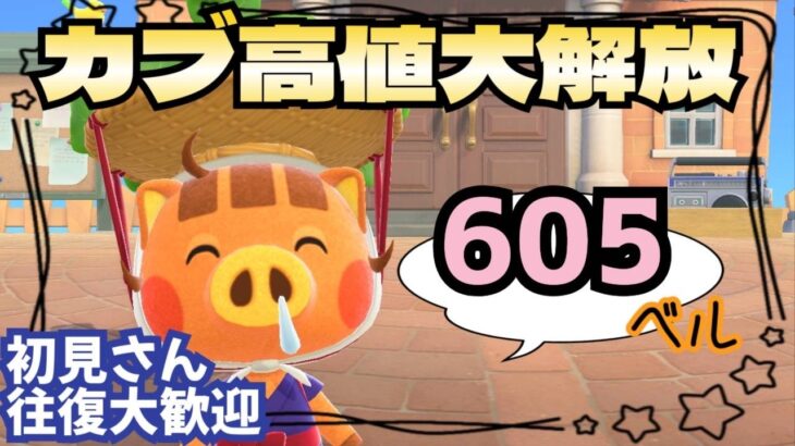 【あつ森実況】カブ価最大605ベル！参加型！【初見さん歓迎！】