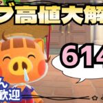 【あつ森実況】カブ価最大614ベル！参加型！【初見さん歓迎！】