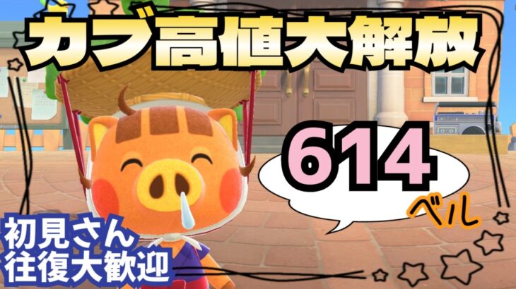【あつ森実況】カブ価最大614ベル！参加型！【初見さん歓迎！】