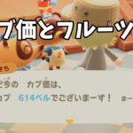 【あつ森】カブ価614ベルと全種フルーツを配布！シンプルにお金増やしたい初心者歓迎