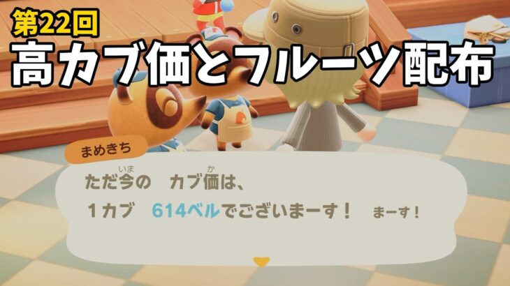 【あつ森】カブ価614ベルと全種フルーツを配布！シンプルにお金増やしたい初心者歓迎